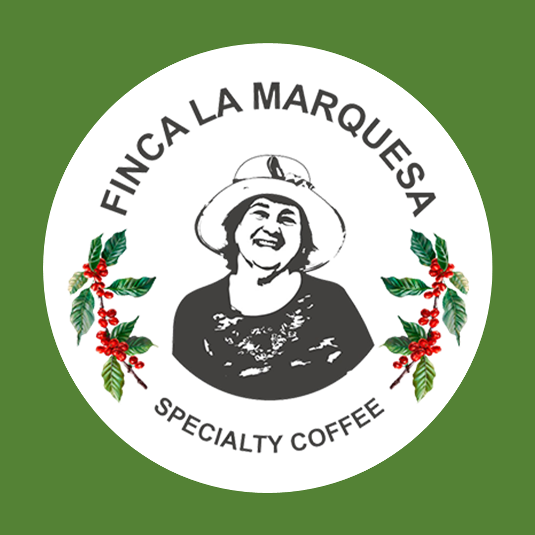 Ecuador Finca La Marquesa Sidra CM Washed 100g