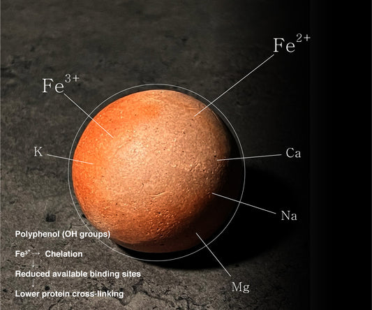 EQUI Coffee Smoother (에크위 커피 스무더)
