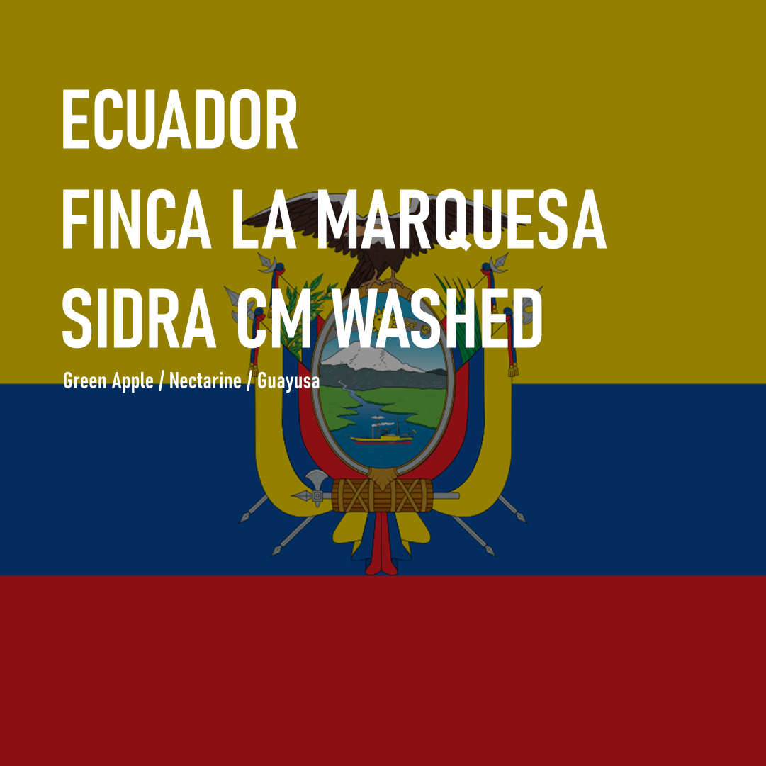 Ecuador Finca La Marquesa Sidra CM Washed 100g