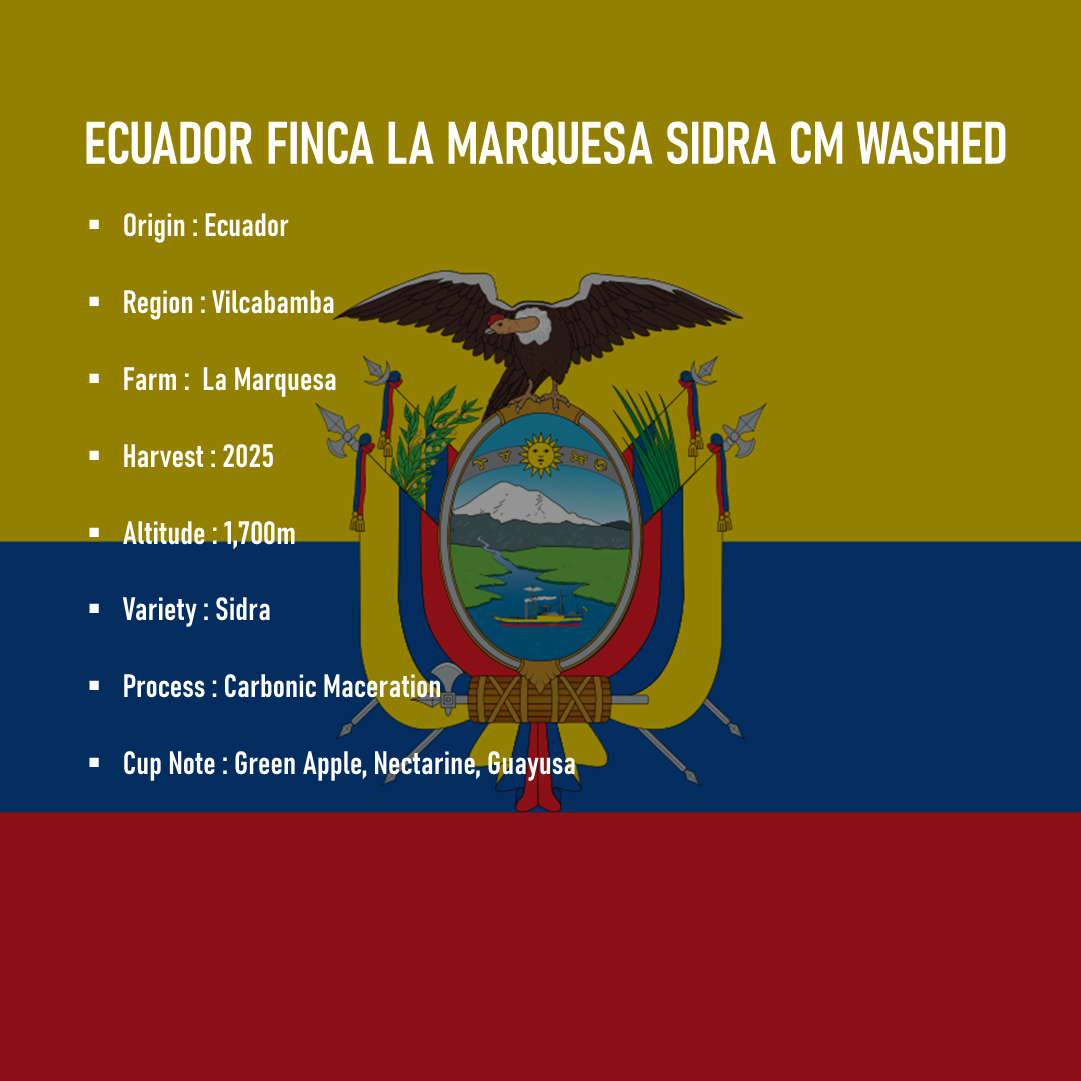 Ecuador Finca La Marquesa Sidra CM Washed 100g